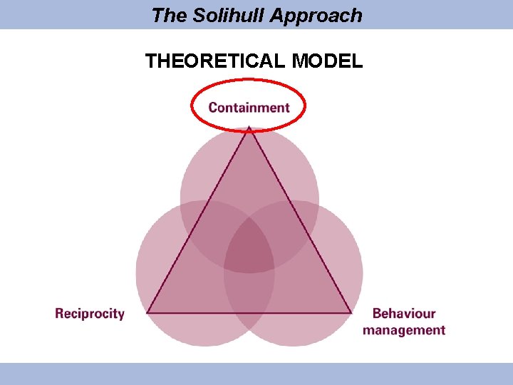 The Solihull Approach THEORETICAL MODEL 