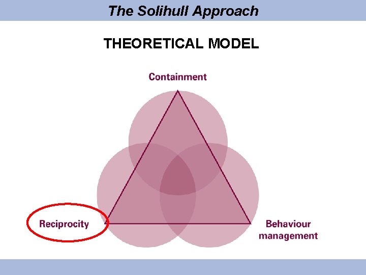 The Solihull Approach THEORETICAL MODEL 