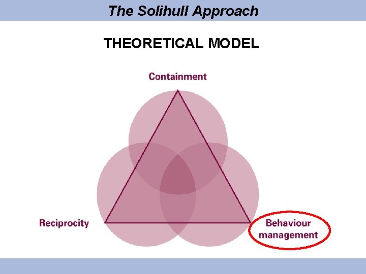 The Solihull Approach THEORETICAL MODEL 