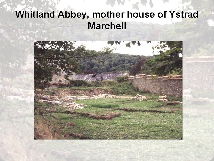 Whitland Abbey, mother house of Ystrad Marchell 