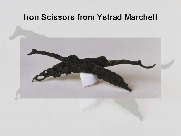 Iron Scissors from Ystrad Marchell 