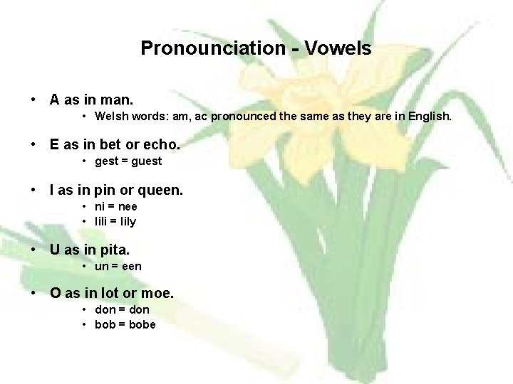 Pronounciation - Vowels • A as in man. • Welsh words: am, ac pronounced