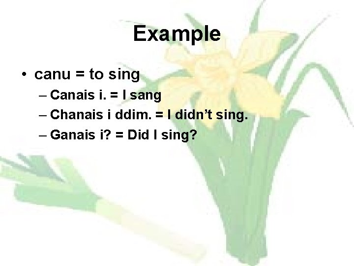 Example • canu = to sing – Canais i. = I sang – Chanais