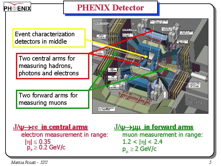 PHENIX Detector Event characterization detectors in middle Two central arms for measuring hadrons, photons