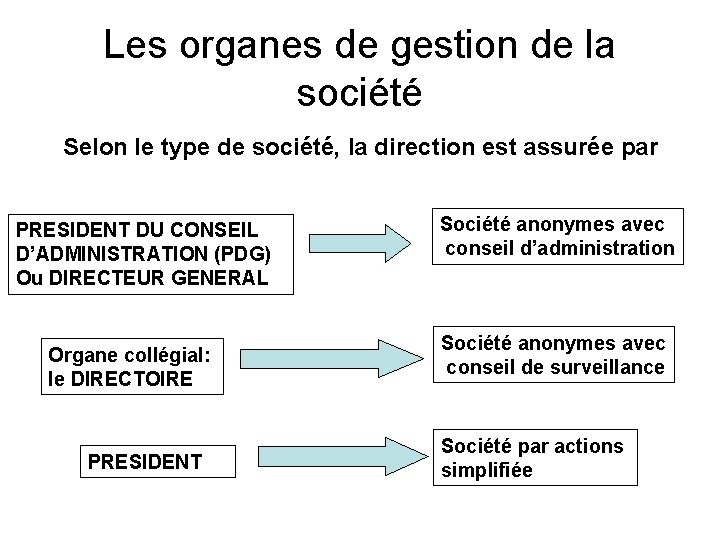 Les organes de gestion de la société Selon le type de société, la direction