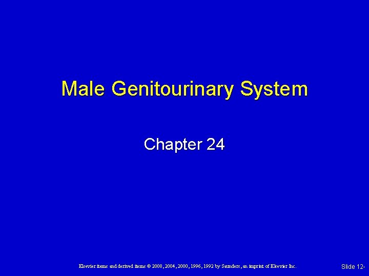 Male Genitourinary System Chapter 24 Elsevier items and derived items © 2008, 2004, 2000,