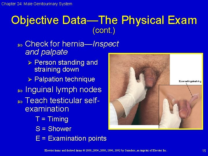Chapter 24: Male Genitourinary System Objective Data—The Physical Exam (cont. ) Check for hernia—Inspect