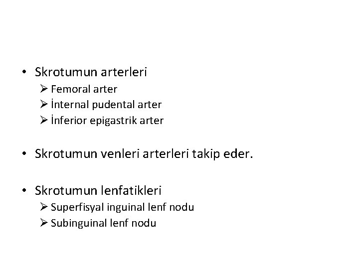  • Skrotumun arterleri Ø Femoral arter Ø İnternal pudental arter Ø İnferior epigastrik