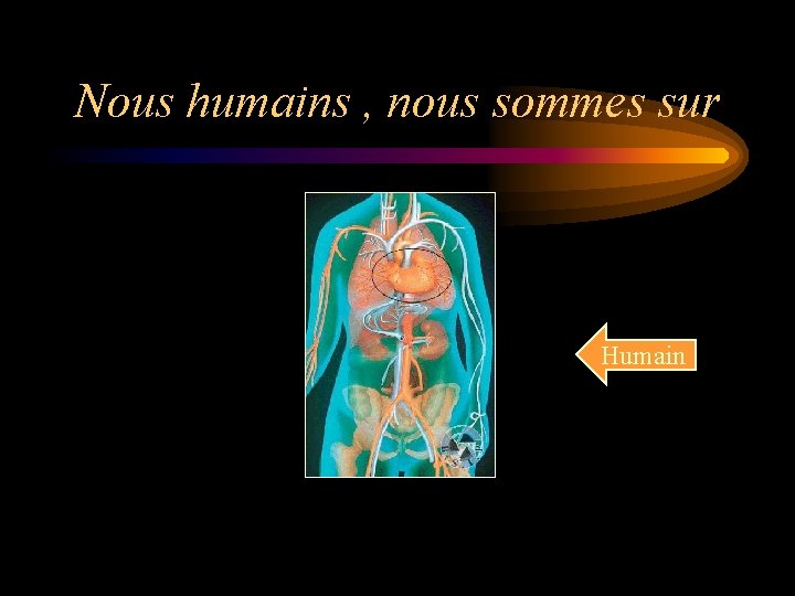 Nous humains , nous sommes sur Humain 