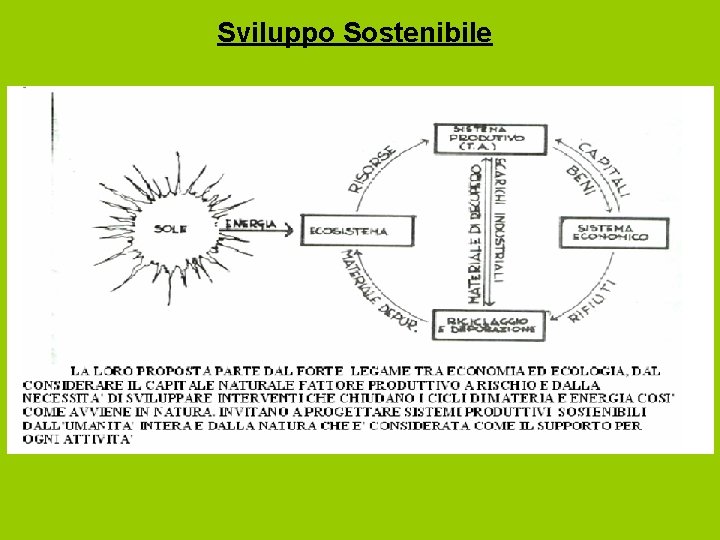 Sviluppo Sostenibile 