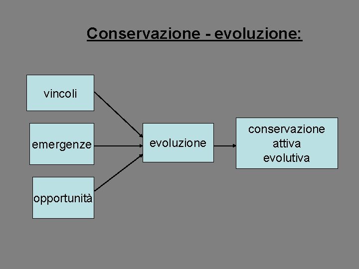 Conservazione evoluzione: vincoli emergenze opportunità evoluzione conservazione attiva evolutiva 