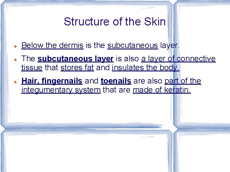 Structure of the Skin Below the dermis is the subcutaneous layer. The subcutaneous layer