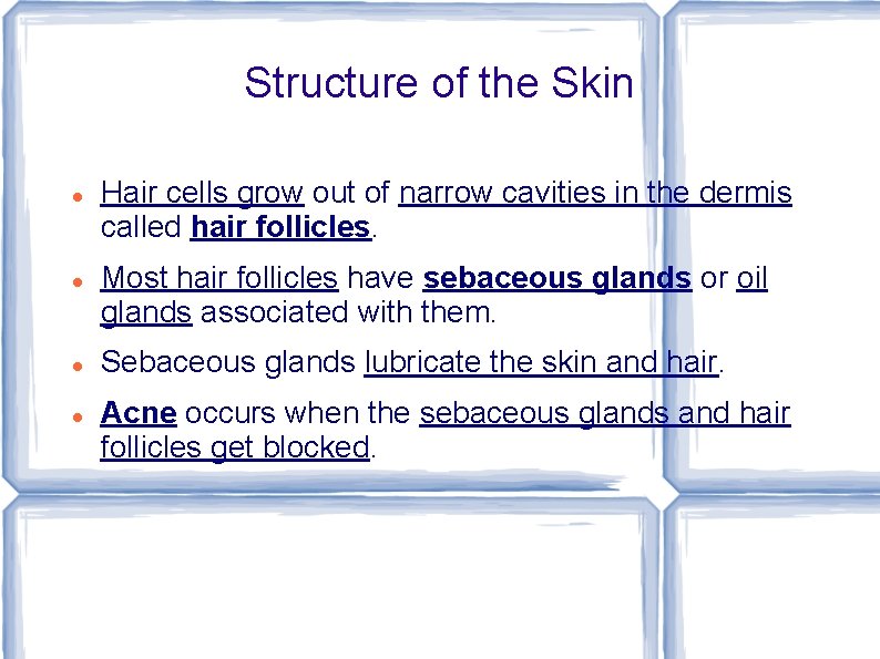 Structure of the Skin Hair cells grow out of narrow cavities in the dermis