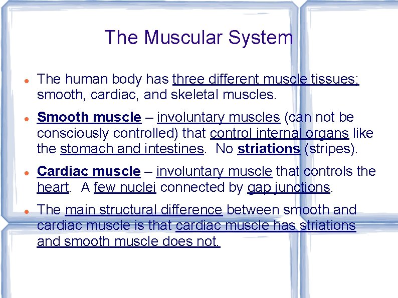 The Muscular System The human body has three different muscle tissues; smooth, cardiac, and