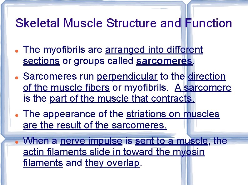 Skeletal Muscle Structure and Function The myofibrils are arranged into different sections or groups