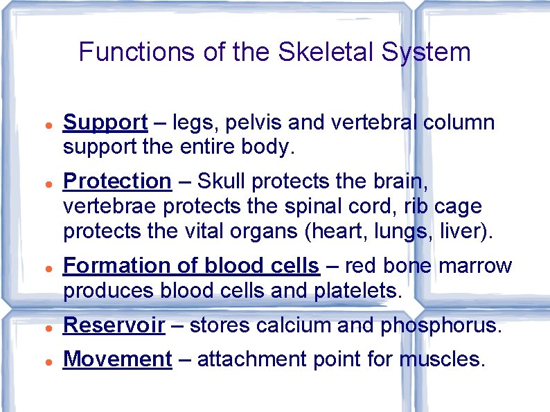 Functions of the Skeletal System Support – legs, pelvis and vertebral column support the