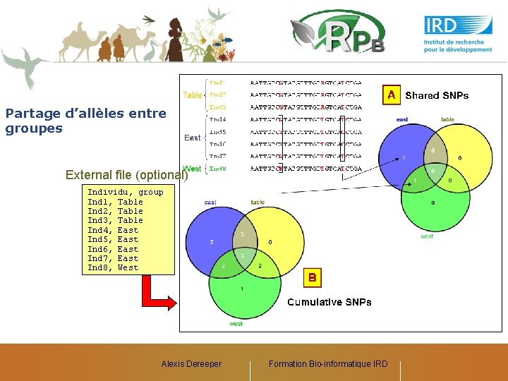 Partage d’allèles entre groupes External file (optional) Individu, group Ind 1, Table Ind 2,