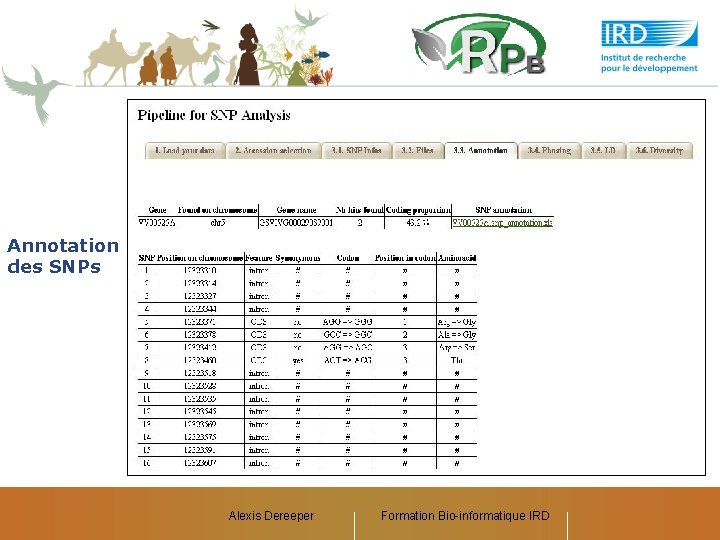 Annotation des SNPs Alexis Dereeper Formation Bio-informatique IRD 