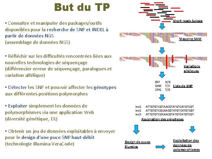 But du TP Short reads Solexa • Connaître et manipuler des packages/outils disponibles pour