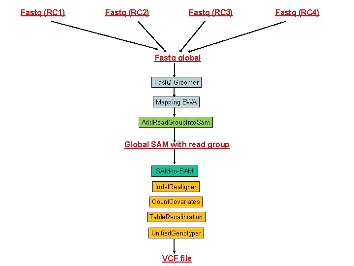 Fastq (RC 1) Fastq (RC 2) Fastq (RC 3) Fastq global Fast. Q Groomer