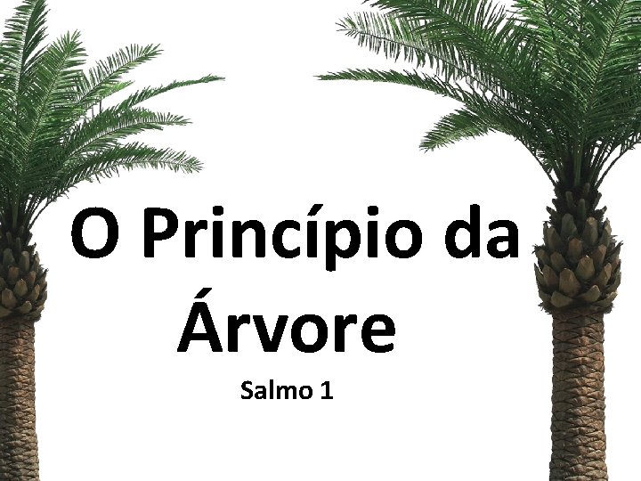 O Princípio da Árvore Salmo 1 