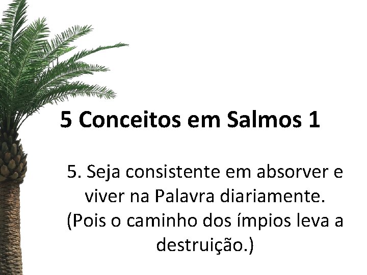 5 Conceitos em Salmos 1 5. Seja consistente em absorver e viver na Palavra