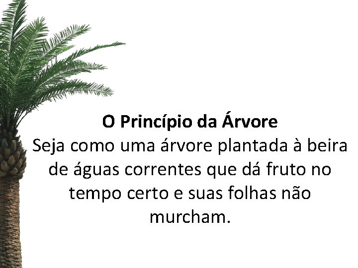 O Princípio da Árvore Seja como uma árvore plantada à beira de águas correntes