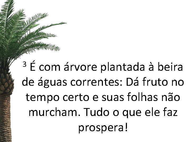 3 É com árvore plantada à beira de águas correntes: Dá fruto no tempo