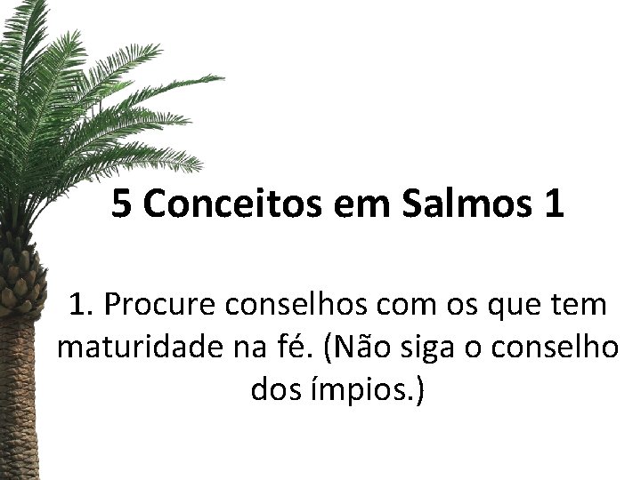 5 Conceitos em Salmos 1 1. Procure conselhos com os que tem maturidade na