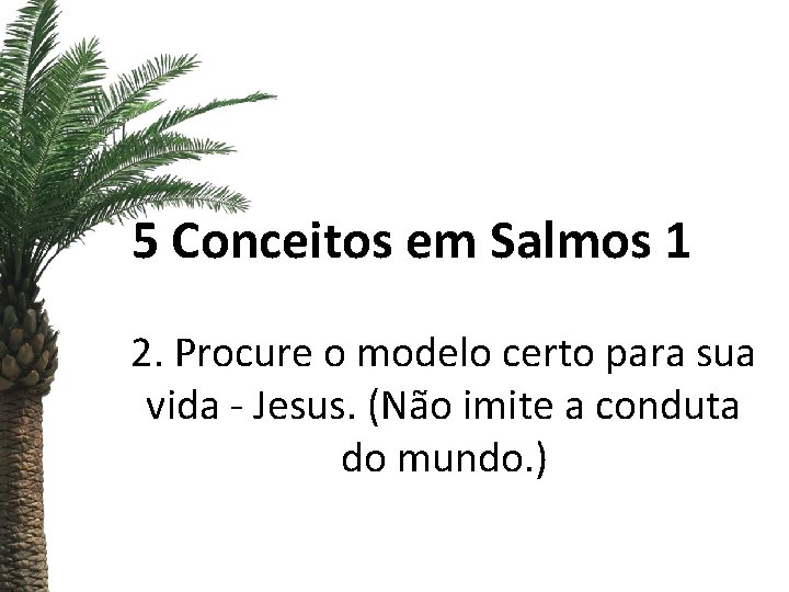 5 Conceitos em Salmos 1 2. Procure o modelo certo para sua vida -