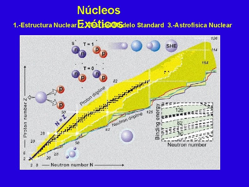 Núcleos 1. -Estructura Nuclear. Exóticos 2. -Test del Modelo Standard 3. -Astrofísica Nuclear 