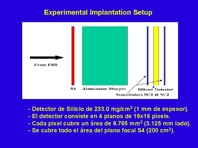 Experimental Implantation Setup - Detector de Silicio de 233. 0 mg/cm 2 (1 mm