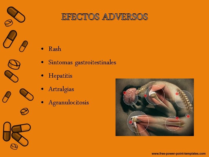 EFECTOS ADVERSOS • • • Rash Sintomas gastroitestinales Hepatitis Artralgias Agranulocitosis 