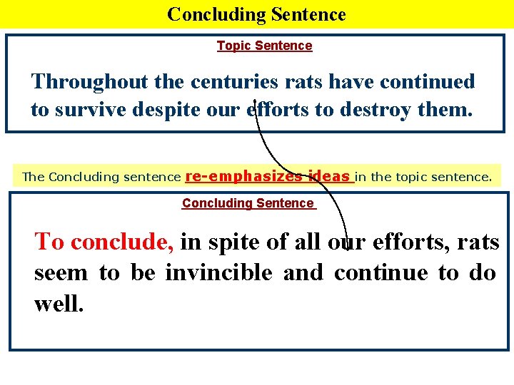 Concluding Sentence Topic Sentence Throughout the centuries rats have continued to survive despite our