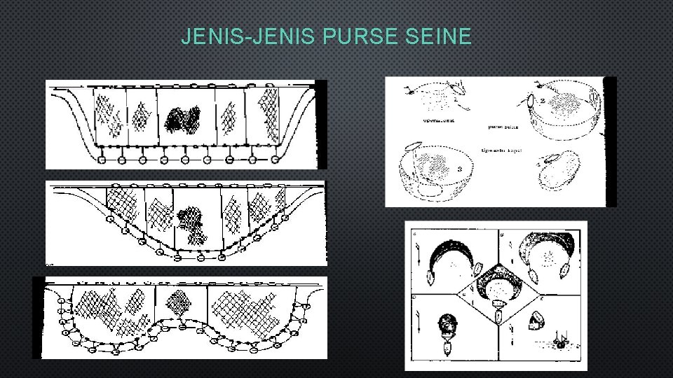 JENIS-JENIS PURSE SEINE 