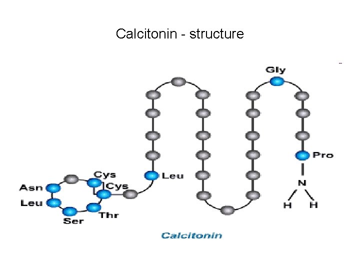 Calcitonin - structure 