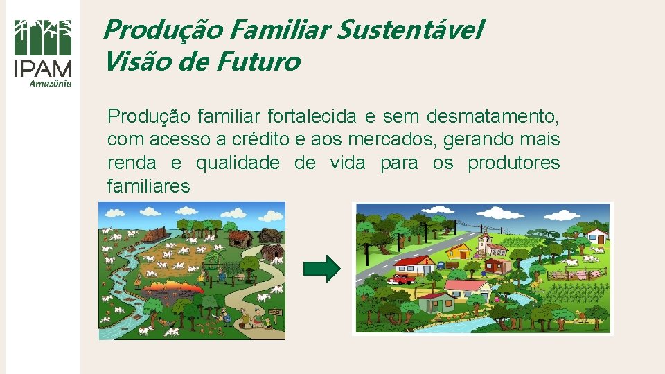 Produção Familiar Sustentável Visão de Futuro Produção familiar fortalecida e sem desmatamento, com acesso