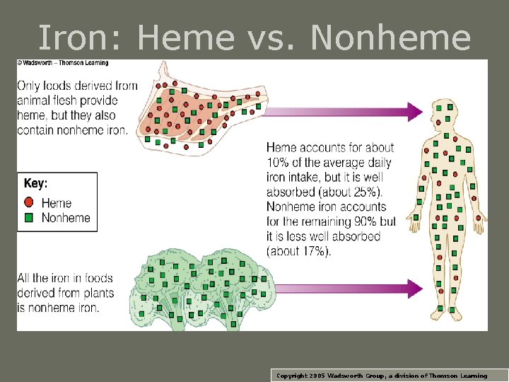 Iron: Heme vs. Nonheme Copyright 2005 Wadsworth Group, a division of Thomson Learning 