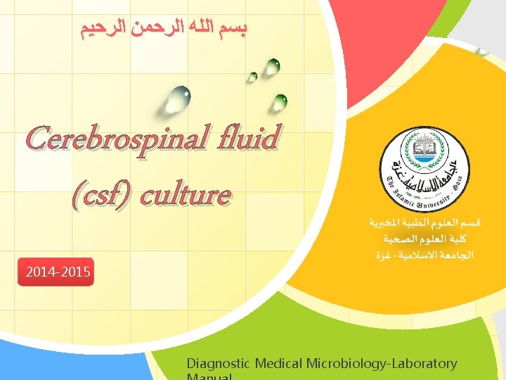  ﺑﺴﻢ ﺍﻟﻠﻪ ﺍﻟﺮﺣﻤﻦ ﺍﻟﺮﺣﻴﻢ Cerebrospinal fluid (csf) culture 2014 -2015 L/O/G/O Diagnostic Medical