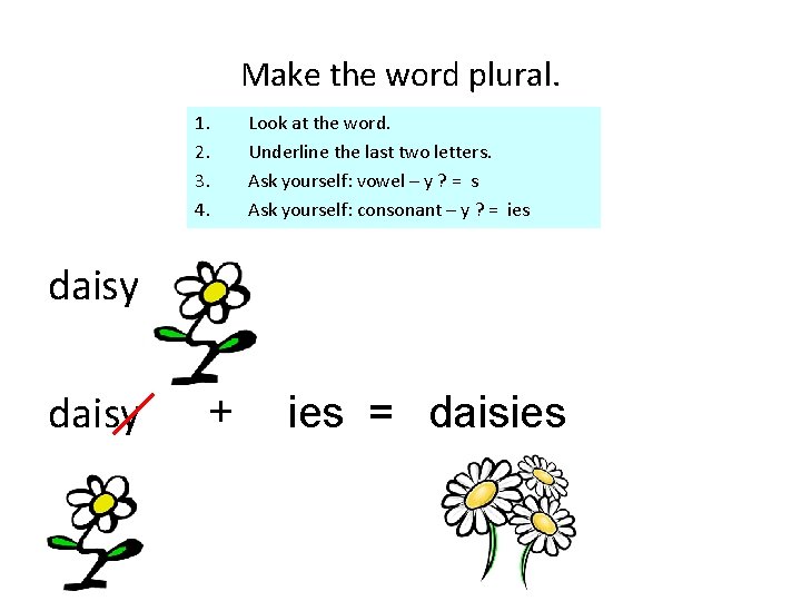 Make the word plural. 1. 2. 3. 4. Look at the word. Underline the