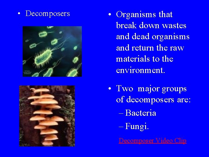  • Decomposers • Organisms that break down wastes and dead organisms and return