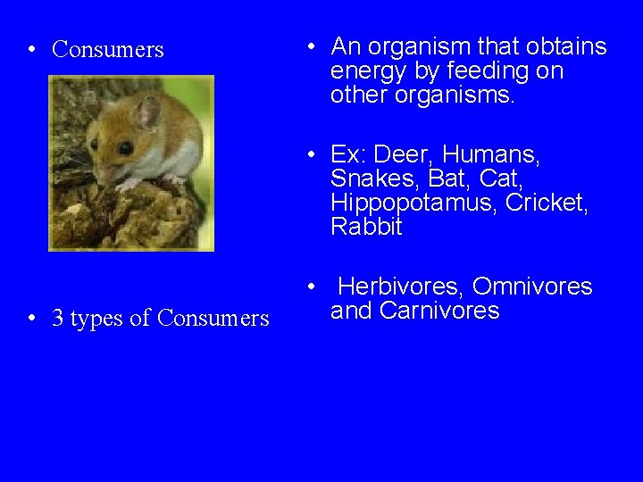 • Consumers • An organism that obtains energy by feeding on other organisms.