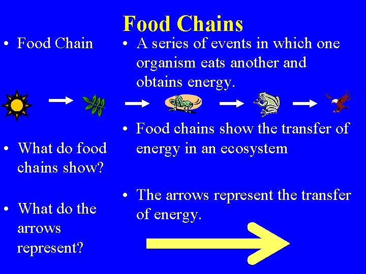  • Food Chains • A series of events in which one organism eats