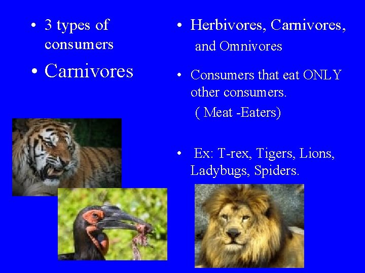  • 3 types of consumers • Carnivores • Herbivores, Carnivores, and Omnivores •