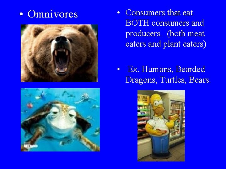  • Omnivores • Consumers that eat BOTH consumers and producers. (both meat eaters