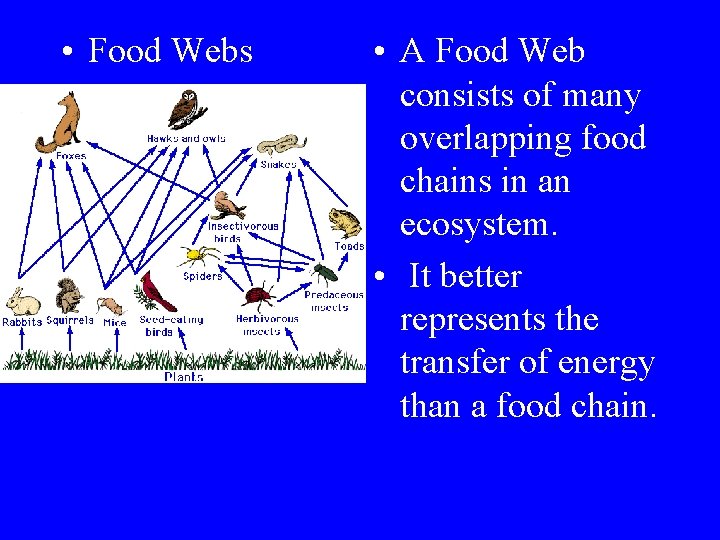  • Food Webs • A Food Web consists of many overlapping food chains