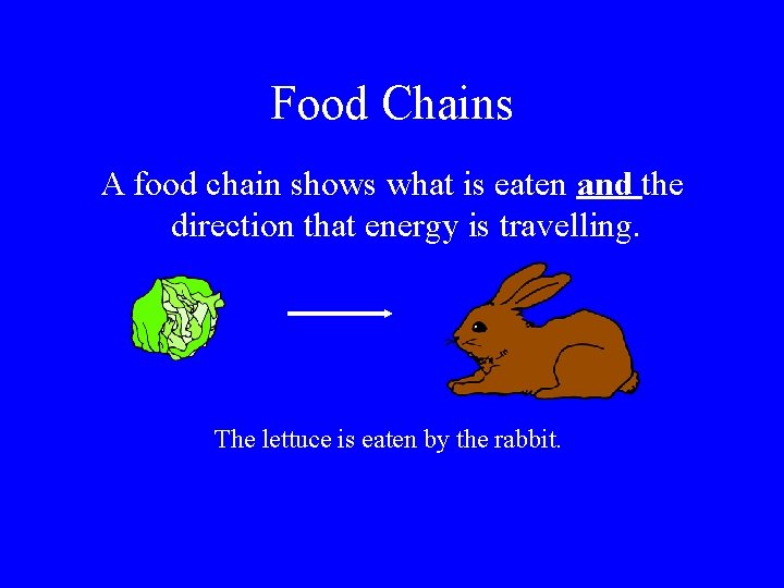 Food Chains A food chain shows what is eaten and the direction that energy