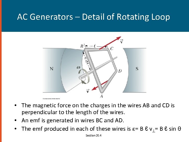 AC Generators – Detail of Rotating Loop • The magnetic force on the charges AC Generators – Detail of Rotating Loop • The magnetic force on the charges
