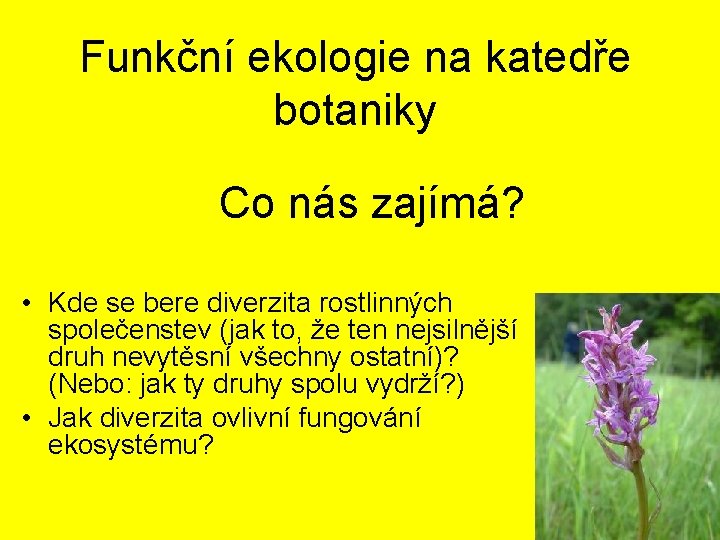 Funkční ekologie na katedře botaniky Co nás zajímá? • Kde se bere diverzita rostlinných