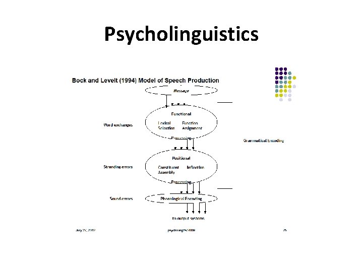 Psycholinguistics 